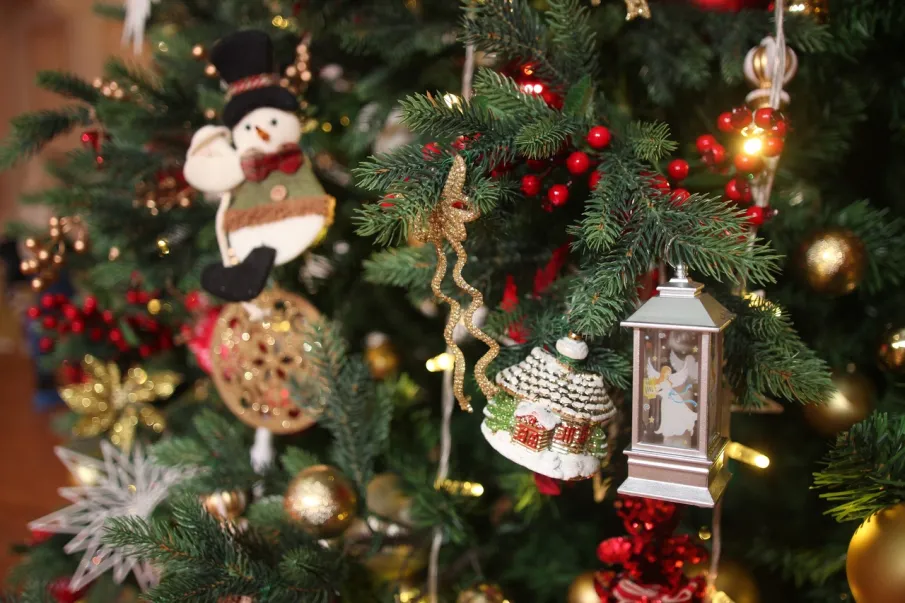 Третий год в Нижнем Новгороде проходят особенные новогодние ёлки